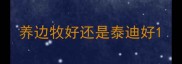 养边牧好还是泰迪好
