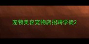 宠物美容宠物店招聘学徒