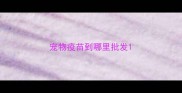 宠物疫苗到哪里批发