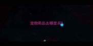 宠物用品去哪里买