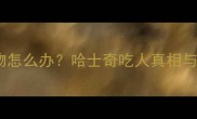 哈士奇误食异物怎么办哈士奇吃人真相与狗粮安全指南