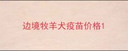 边境牧羊犬疫苗价格