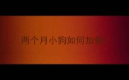 两个月小狗如何加餐