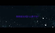 狗狗驱虫药什么牌子好