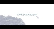 拉布拉多夏天吹电扇