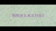 狗狗多久来次月经