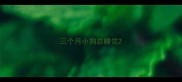 三个月小狗总睡觉