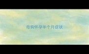 母狗怀孕半个月症状
