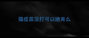 猫疫苗没打可以绝育么