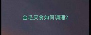 金毛厌食如何调理