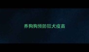 养狗狗预防狂犬疫苗