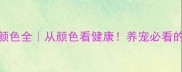狗狗便便颜色全从颜色看健康养宠必看的排便指南