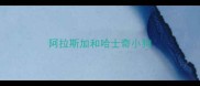 阿拉斯加和哈士奇小狗