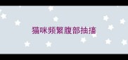 猫咪频繁腹部抽搐