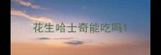 花生哈士奇能吃吗