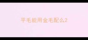 平毛能用金毛配么