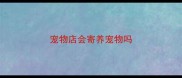 宠物店会寄养宠物吗