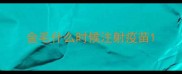金毛什么时候注射疫苗