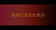 狗狗打疫苗的条件