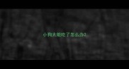 小狗太能吃了怎么办