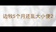 边牧5个月还乱大小便
