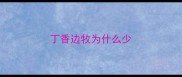 丁香边牧为什么少