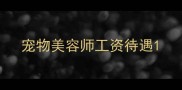 宠物美容师工资待遇