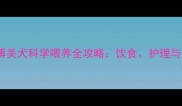 两个月大博美犬科学喂养全攻略饮食护理与常见问题