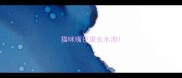 猫咪嘴巴里长水泡