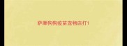 萨摩狗狗疫苗宠物店打