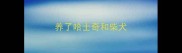 养了哈士奇和柴犬