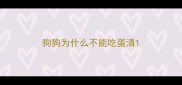 狗狗为什么不能吃蛋清