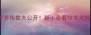 边牧vs古牧好养指数大公开新手必看牧羊犬饲养对比攻略