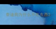 泰迪狗为什么不吃东西