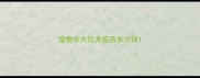 宠物多大狂犬疫苗多少钱