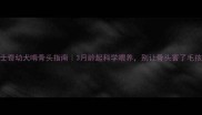 哈士奇幼犬啃骨头指南3月龄起科学喂养别让骨头害了毛孩子