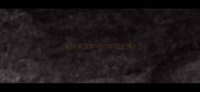 宠物美容师培训学校上海