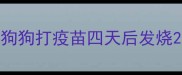 狗狗打疫苗四天后发烧