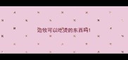 边牧可以吃烫的东西吗