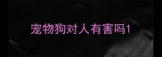 宠物狗对人有害吗