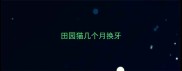 田园猫几个月换牙