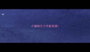 小猫咪几个月能洗澡