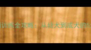 宠物狗如厕训练全攻略从幼犬到成犬的5大黄金法则