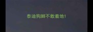 泰迪狗脚不敢着地