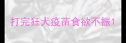 打完狂犬疫苗食欲不振