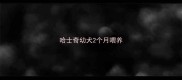 哈士奇幼犬2个月喂养