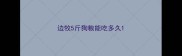 边牧5斤狗粮能吃多久