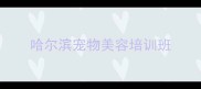 哈尔滨宠物美容培训班
