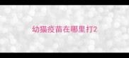 幼猫疫苗在哪里打