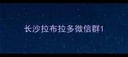 长沙拉布拉多微信群